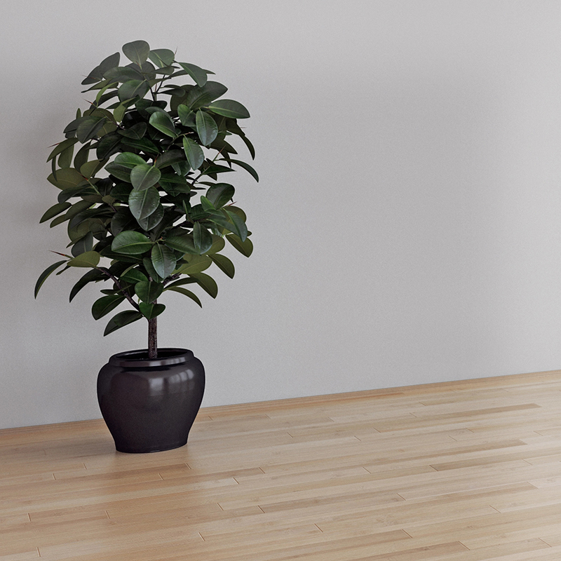 Искусственные растения