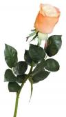 Роза искусственная Top Art International Джессика оранжевая