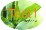 Test1
