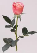 Роза искусственная Top Art International Джессика розово-желтая
