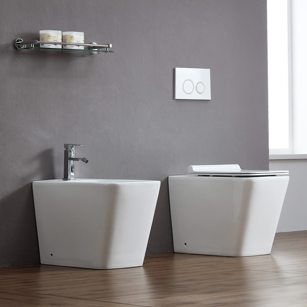 Унитаз напольный безободковый Calypso CS003DP