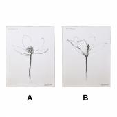Картина черно-белая в стиле ретро "Цветок", 2 вида