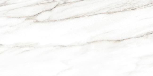 Настенная плитка EUPHORIA 249*500