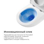 Унитаз подвесной TONI ARTI ESTETICA Milano со смывом торнадо, с микролифтом