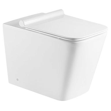 Унитаз напольный безободковый Calypso CS003DP
