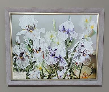 Репродукция на плакарде. Ирисы. И.Крылова.  60х45