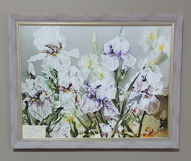 Репродукция на плакарде. Ирисы. И.Крылова.  60х45