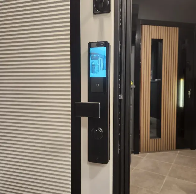 Умный замок Dircode T850 