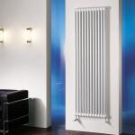 Стальной трубчатый радиатор отопления Zehnder Charleston 2180 (1 секция)