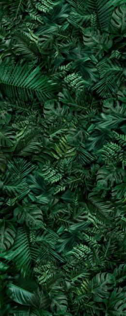 Панель Alumoart Botanical Garden Jungle