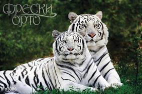 Фреска