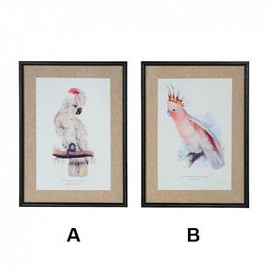 Картина в винтажном стиле "Попугай", 2 вида