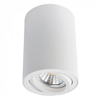 Светильник Arte Lamp Sentry A1560PL-1WH